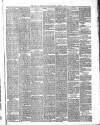 Belfast Weekly News Saturday 20 March 1875 Page 7