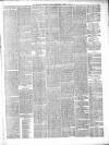 Belfast Weekly News Saturday 03 April 1875 Page 5
