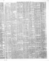 Belfast Weekly News Saturday 17 April 1875 Page 3