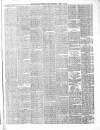 Belfast Weekly News Saturday 17 April 1875 Page 5