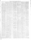 Belfast Weekly News Saturday 19 June 1875 Page 3
