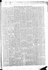 Belfast Weekly News Saturday 13 January 1877 Page 5