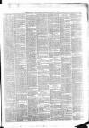 Belfast Weekly News Saturday 13 January 1877 Page 7