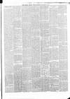 Belfast Weekly News Saturday 20 January 1877 Page 5