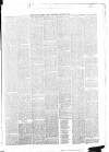 Belfast Weekly News Saturday 27 January 1877 Page 5