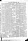 Belfast Weekly News Saturday 17 March 1877 Page 3