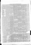 Belfast Weekly News Saturday 24 March 1877 Page 5