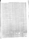 Belfast Weekly News Saturday 02 June 1877 Page 5