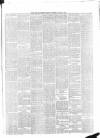 Belfast Weekly News Saturday 16 June 1877 Page 5