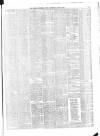 Belfast Weekly News Saturday 23 June 1877 Page 5