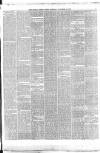 Belfast Weekly News Saturday 29 September 1877 Page 5