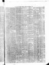 Belfast Weekly News Saturday 17 November 1877 Page 3