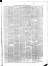Belfast Weekly News Saturday 17 November 1877 Page 5