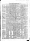 Belfast Weekly News Saturday 17 November 1877 Page 7