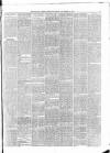 Belfast Weekly News Saturday 24 November 1877 Page 5