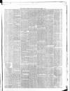 Belfast Weekly News Saturday 01 December 1877 Page 5