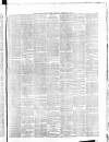 Belfast Weekly News Saturday 01 December 1877 Page 7