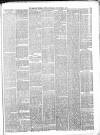 Belfast Weekly News Saturday 09 November 1878 Page 5