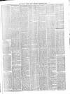 Belfast Weekly News Saturday 21 December 1878 Page 3