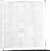 Belfast Weekly News Saturday 10 January 1891 Page 7
