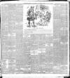 Belfast Weekly News Saturday 23 September 1893 Page 5