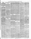 Dudley Guardian, Tipton, Oldbury & West Bromwich Journal and District Advertiser Saturday 21 February 1874 Page 3