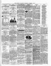 Dudley Guardian, Tipton, Oldbury & West Bromwich Journal and District Advertiser Saturday 07 March 1874 Page 7