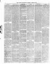 Dudley Guardian, Tipton, Oldbury & West Bromwich Journal and District Advertiser Saturday 25 April 1874 Page 6