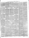 Dudley Guardian, Tipton, Oldbury & West Bromwich Journal and District Advertiser Saturday 17 October 1874 Page 7