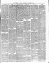 Dudley Guardian, Tipton, Oldbury & West Bromwich Journal and District Advertiser Saturday 14 November 1874 Page 3