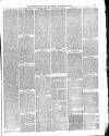 Dudley Guardian, Tipton, Oldbury & West Bromwich Journal and District Advertiser Saturday 12 December 1874 Page 3