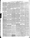 Dudley Guardian, Tipton, Oldbury & West Bromwich Journal and District Advertiser Saturday 12 December 1874 Page 6