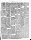 Dudley Guardian, Tipton, Oldbury & West Bromwich Journal and District Advertiser Saturday 23 January 1875 Page 3