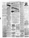 Dudley Guardian, Tipton, Oldbury & West Bromwich Journal and District Advertiser Saturday 20 March 1875 Page 2