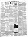 Dudley Guardian, Tipton, Oldbury & West Bromwich Journal and District Advertiser Saturday 03 April 1875 Page 7