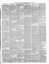 Dudley Guardian, Tipton, Oldbury & West Bromwich Journal and District Advertiser Saturday 10 April 1875 Page 5