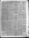Dudley Mercury, Stourbridge, Brierley Hill, and County Express Saturday 06 August 1887 Page 3