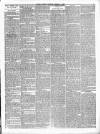 Dudley Mercury, Stourbridge, Brierley Hill, and County Express Saturday 04 February 1888 Page 3