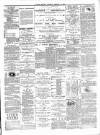 Dudley Mercury, Stourbridge, Brierley Hill, and County Express Saturday 11 February 1888 Page 7