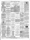 Dudley Mercury, Stourbridge, Brierley Hill, and County Express Saturday 24 March 1888 Page 6