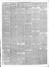 Dudley Mercury, Stourbridge, Brierley Hill, and County Express Saturday 14 April 1888 Page 3