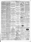 Dudley Mercury, Stourbridge, Brierley Hill, and County Express Saturday 14 April 1888 Page 7