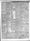 Dudley Mercury, Stourbridge, Brierley Hill, and County Express Saturday 09 February 1889 Page 5