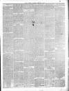 Dudley Mercury, Stourbridge, Brierley Hill, and County Express Saturday 16 February 1889 Page 3