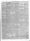 Dudley Mercury, Stourbridge, Brierley Hill, and County Express Saturday 30 March 1889 Page 3