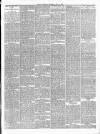 Dudley Mercury, Stourbridge, Brierley Hill, and County Express Saturday 06 July 1889 Page 3