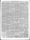 Dudley Mercury, Stourbridge, Brierley Hill, and County Express Saturday 02 November 1889 Page 3