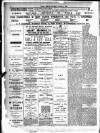 Dudley Mercury, Stourbridge, Brierley Hill, and County Express Saturday 04 January 1890 Page 2