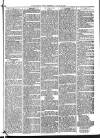 Mid Sussex Times Wednesday 26 January 1881 Page 5