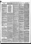 Mid Sussex Times Wednesday 02 February 1881 Page 7
